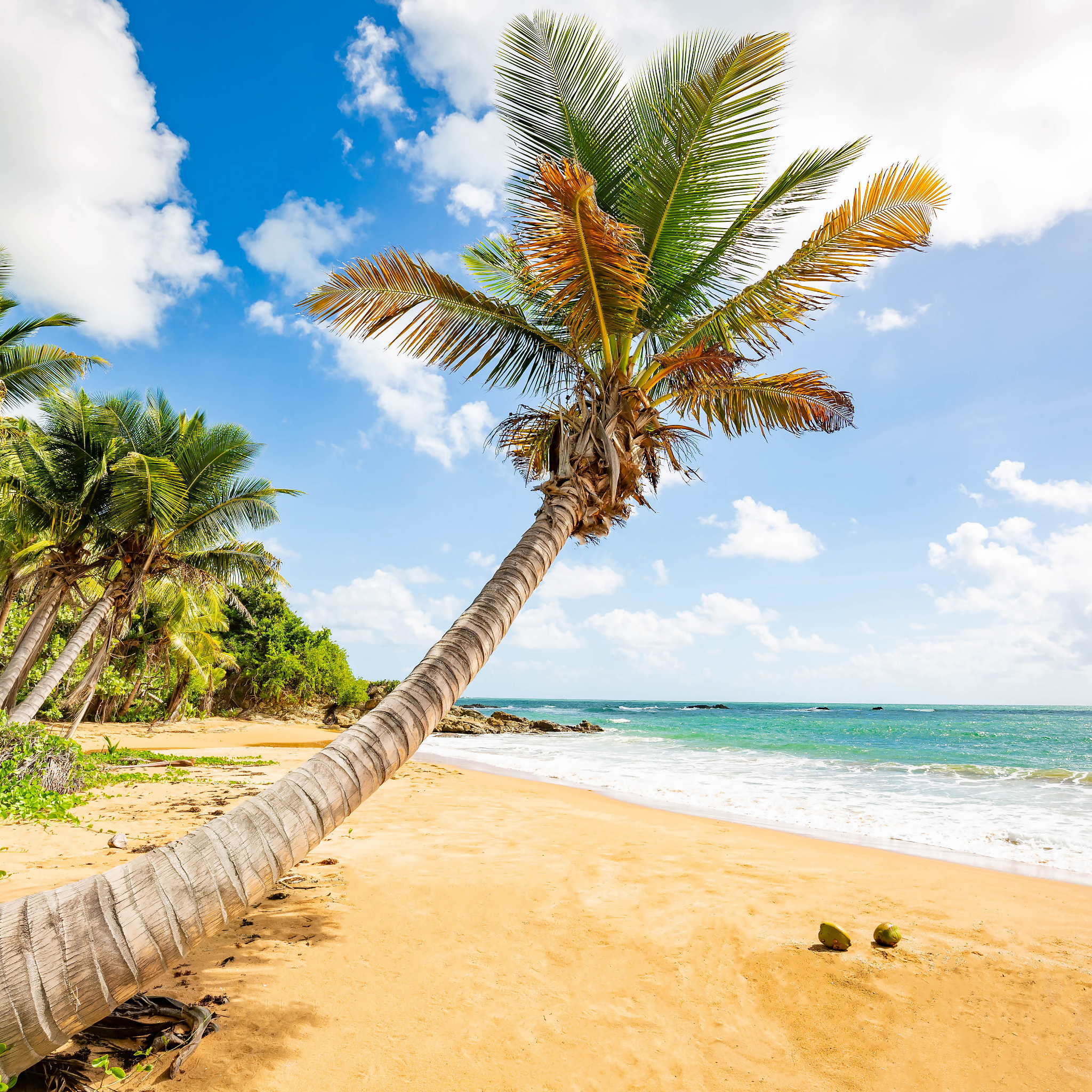 Donate once & receive 12 entries (2 bonus entries) for the current month's luxury getaway drawing